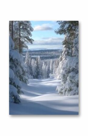 A snow covered landscape with tall pine trees laden with white snow under a bright blue sky with scattered clouds, showing undulating terrain in the distance, a serene winter scene.