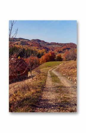 Autumn colored trees and countryside landscape scenery.