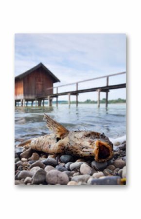 fish and fishermans house