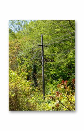 A tall wooden pole with a power line on top of it