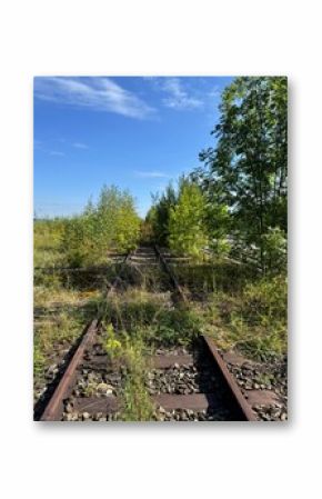 The overgrown railway tracks lie under a blue sky, inviting exploration and adventure