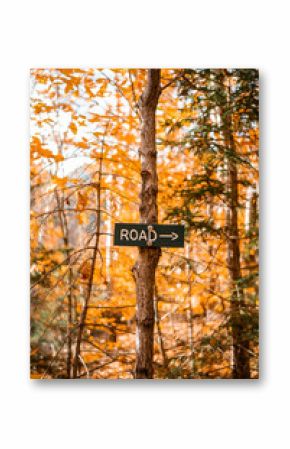Up State New York in the Adirondack State Park during peak Fall Autumn season with golden maple leaves along the Hudson river. Trail up the Indian Head Lake view point.