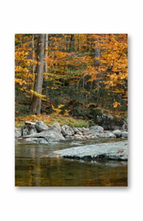 Up State New York in the Adirondack State Park during peak Fall Autumn season with golden maple leaves along the Hudson river. Trail up the Indian Head Lake view point.