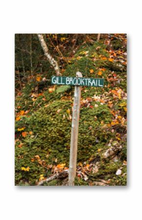 Up State New York in the Adirondack State Park during peak Fall Autumn season with golden maple leaves along the Hudson river. Trail up the Indian Head Lake view point.