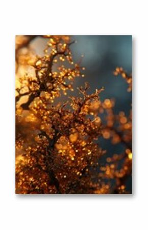 Nature nature sunlight outdoors.