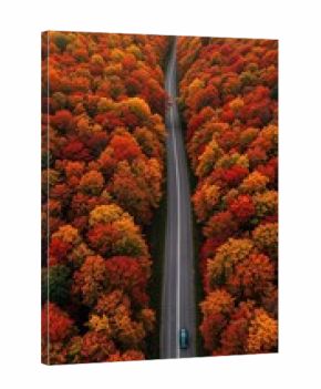 A high-angle drone perspective captures a teal car driving along a winding gray road through a vibrant autumn forest adorned with red, orange, and yellow foliage.