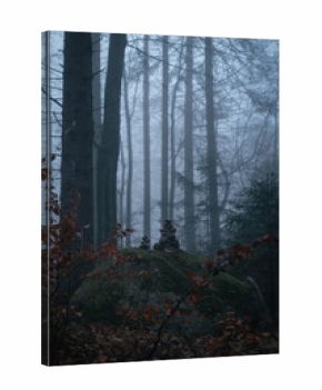 Zauberwald