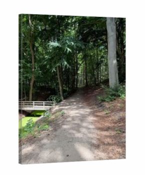 Beautiful green trees, pathway and bridge in park