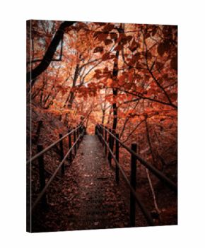 autumn in the city
