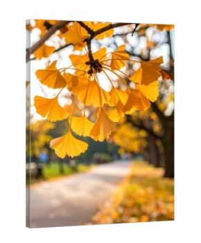オレンジ色のイチョウの葉をクローズアップで撮影した写真です。 枝に揺れる葉が秋の季節感を演出し、背景の公園の小道は柔らかくぼけています。