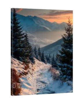 Snowy mountain trail at sunset surrounded by pine trees and scenic views