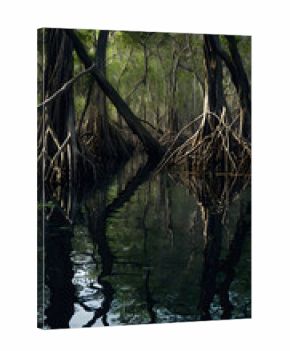 Mystical mangrove forest reflecting in calm waters offers serene nature escape and tranquil scene
