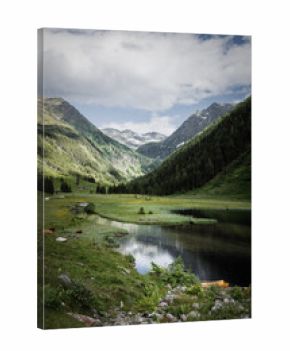 Peaceful Pasture with Grazing Cows at Riesachsee Lake