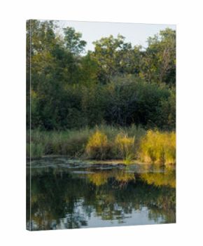 Peaceful Woodland Creek with Autumn Colors