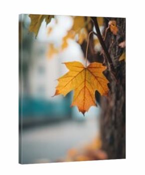 Yellow maple leaf clinging to a branch in autumn