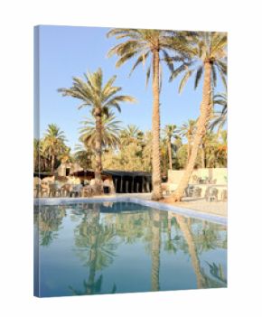 Visitors enjoy the tranquil atmosphere of an oasis in Tunisia with a beautiful swimming pool framed by palm trees under a sunny sky. Perfect for leisure and relaxation.