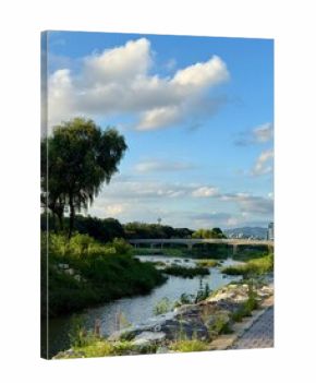 korea park landscape