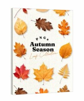 Autumn maple leaf element set