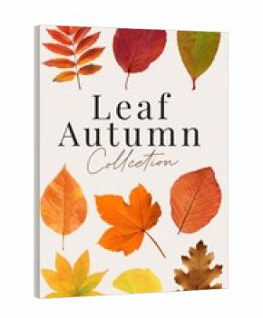 Autumn leaf design element set