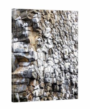 surface of rock with seabirds in Pacific ocean