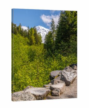 Majestic Mount Rainier rising above forests and river in the national park