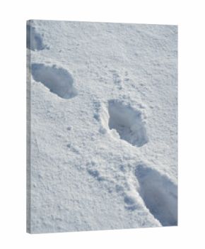 Deep footprints in fresh snow on a sunny winter day