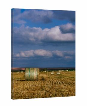 Round hay bales scattered across farmland in Saskatchewan, Canada, under a dramatic cloudy sky with patches of blue, symbolizing rural agriculture and harvest season.