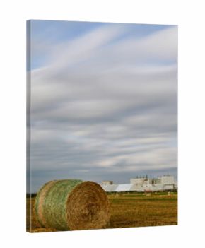 Round hay bales on farmland in Saskatchewan, Canada, with large white industrial buildings and storage domes in the background under dramatic cloudy sky.