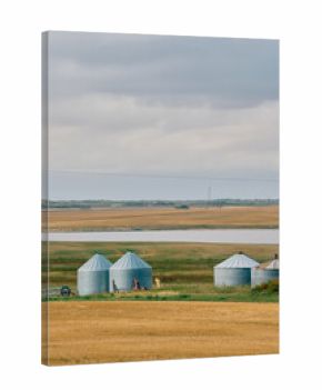 A white farm warehouse and silver grain bins stand beside harvested fields and a water body under cloudy skies in Saskatchewan, Canada.