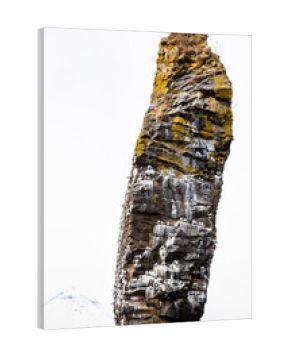 old rock with gulls in Avacha bay of Pacific ocean