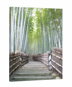 Vertical view of a empty road in the fabulous bamboo forest in Kyoto, Japan