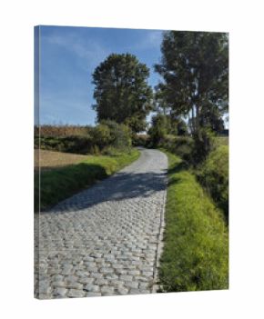 Summer view of the 'Oude Kwaremont' Climb, well known from the Tour of Flanders bike race. It is a cobblestoned hill near Kluisbergen in the Flemish Ardennes of Belgium.