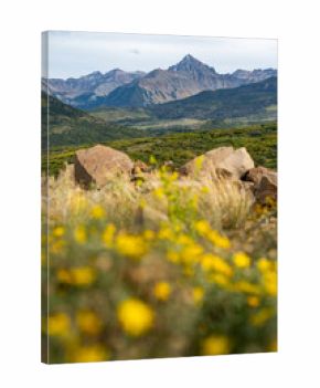San Juan Mountains scenic view in early fall season. Beautiful scenery of Mount Sneffels from Dallas Divide, a high mountain pass between Ridgway and Placerville in Southwest Colorado, United States.