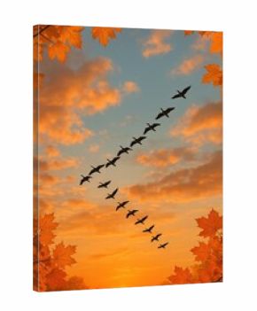 Autumn sunset sky silhouette flight