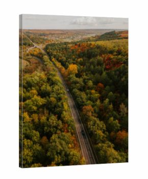 Capture the beauty of autumn with vibrant colors and train tracks winding through the scenic landscape.