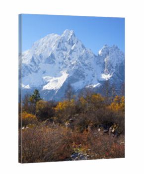 Majestic snow capped mountains meet autumn foliage