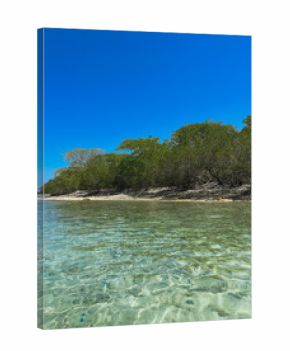  Long Island, Venezuela - Clear Shallow Water and Mangrove Forest Tropical Coast