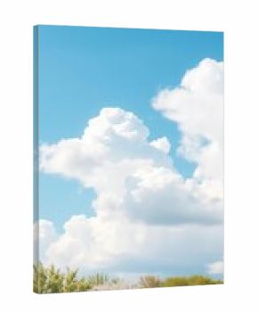 Blue sky with fluffy white clouds over a landscape dotted with blossoming trees,  trees,  blossom
