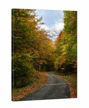 Mountain road in autumn with snowy mountain peak in background. Pyrenees mountains in southwest France