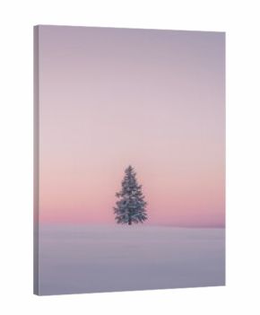 Lone tree stands in a snow-covered field, with a pink