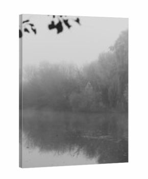 Misty lake scene with reflections of trees and foliage in black and white