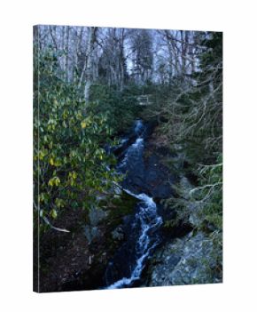 Tranquil forest stream winds through mossy rocks in a North Carolina woodland
