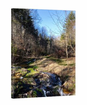 Tranquil forest stream with small waterfall in North Carolina under blue sky