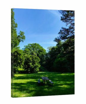 Outdoor meadow park scene with picnic table under blue sky in Southern Illinois greenery today