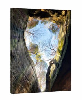 Tree growing in a steep rock crevice under blue sky in Southern Illinois USA