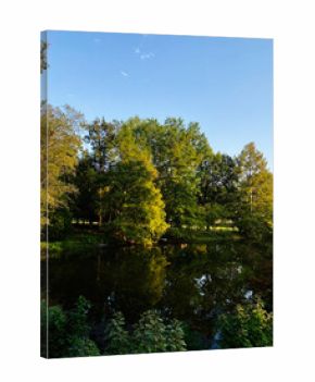 Tranquil sunlit pond surrounded by lush trees in Southern Illinois, USA