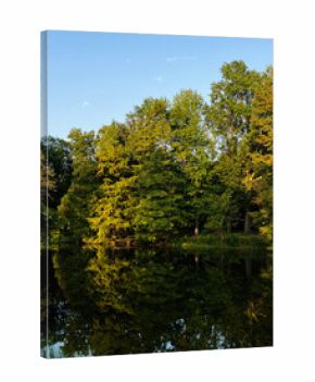 Tranquil trees overlook a calm lake in a Southern Illinois park during autumn