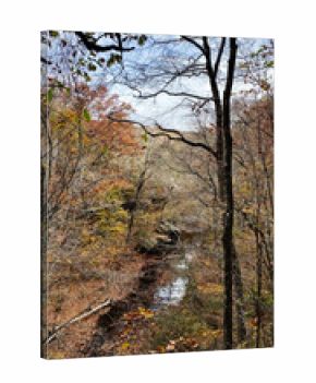 Autumn forest along a quiet creek in Southern Illinois offering colorful fall reflections