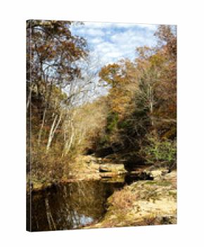 Autumn forest by a calm river in Southern Illinois with rocks and trees