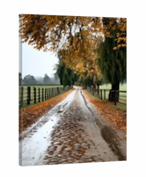 Countryside road with autumn leaves, wet cobblestone path, overcast sky, tranquil rural landscape, peaceful mood